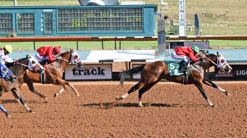 Q-Racing - The older horses that reached star status this... | Facebook