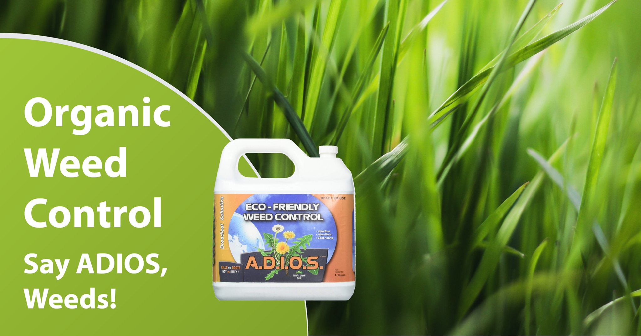 Natural Alternative Now You Don T Have To Choose Between A Weed Free Lawn And Being Eco Conscious Organic Weed Control Fights Common Weeds Naturally Adios Works On The Following Lawn Weeds Dandelion