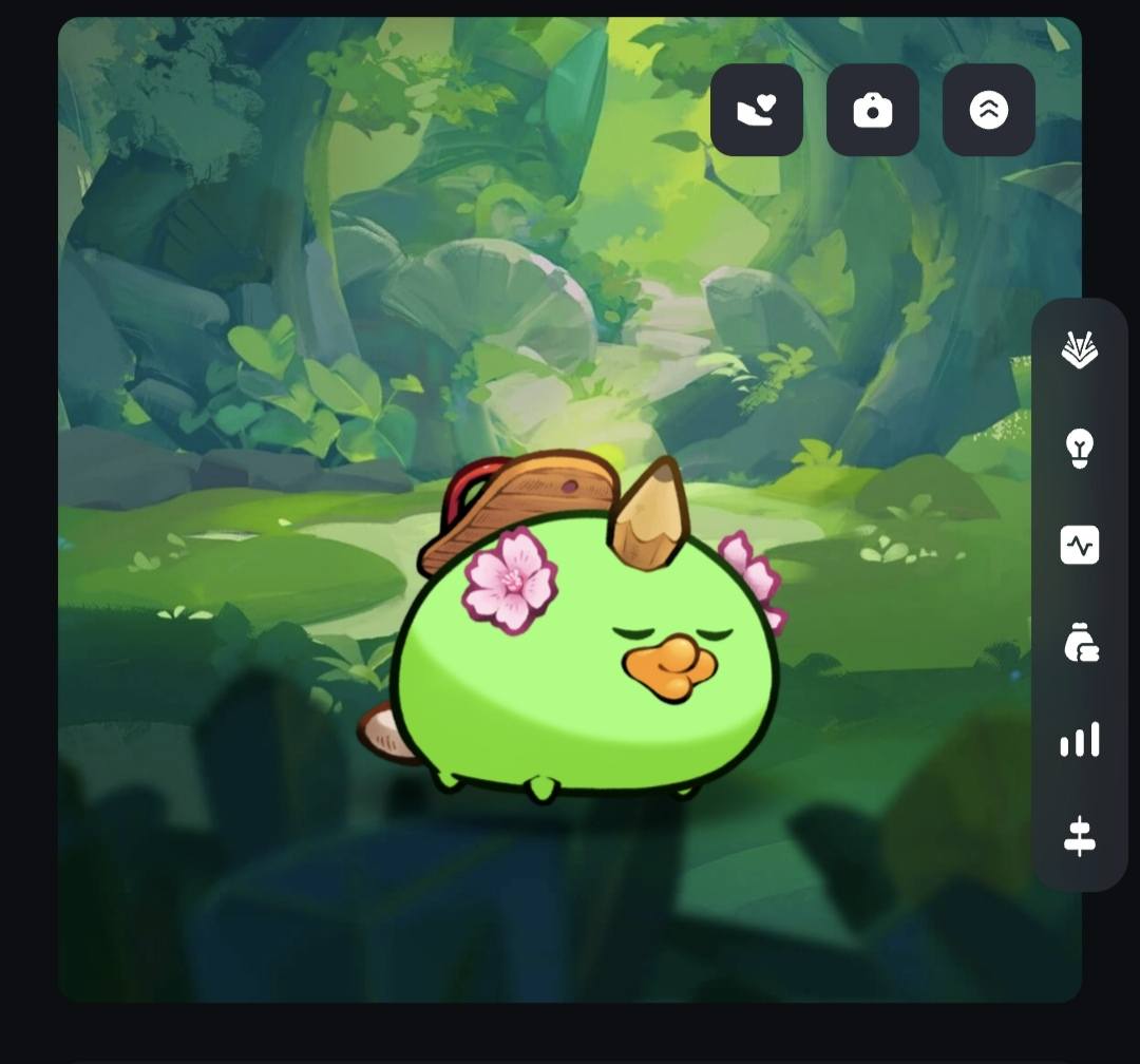 AXIE INFINITY NEW GENERATION | .013 dalawa na mga idol,pde rin tingi ...