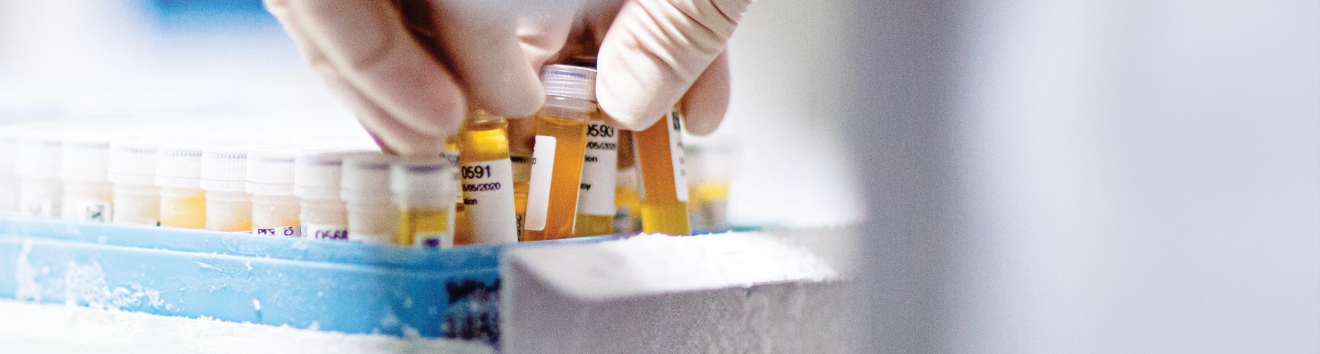 PHF Science | Porirua
