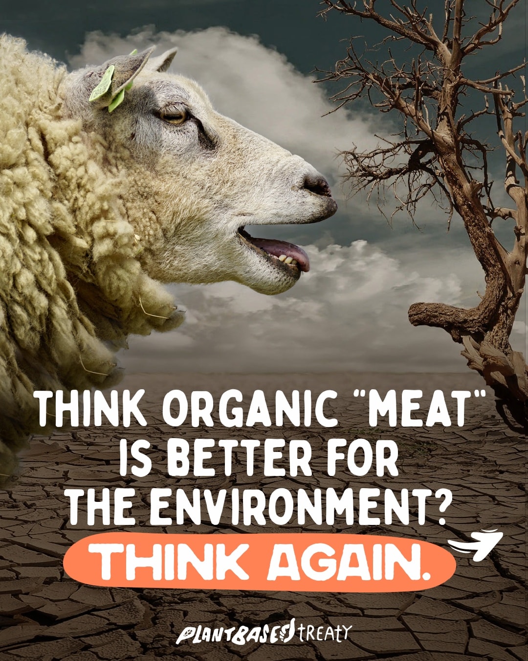 VegfestUK - The 'humane' myth is not just an injustice for... | Facebook