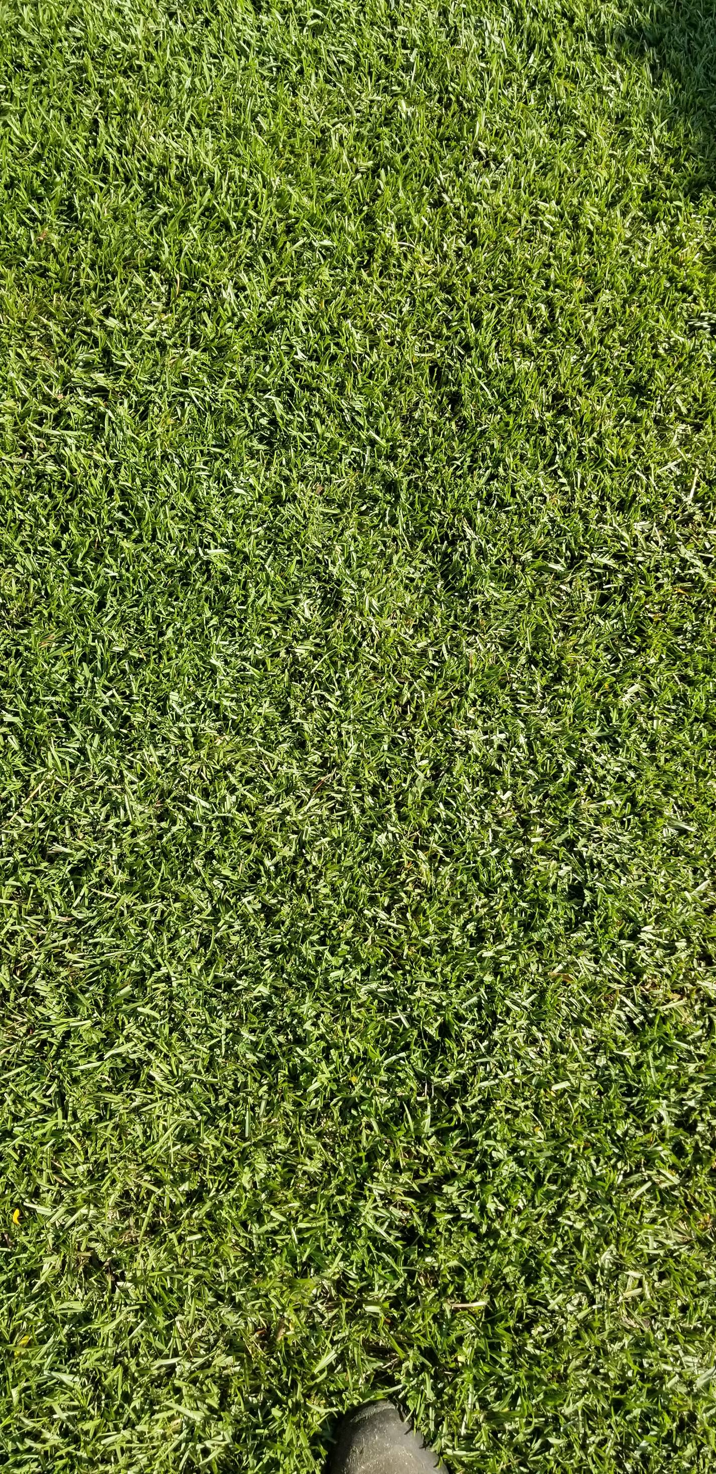 Top-Notch Turf and Landscape | Valdosta GA