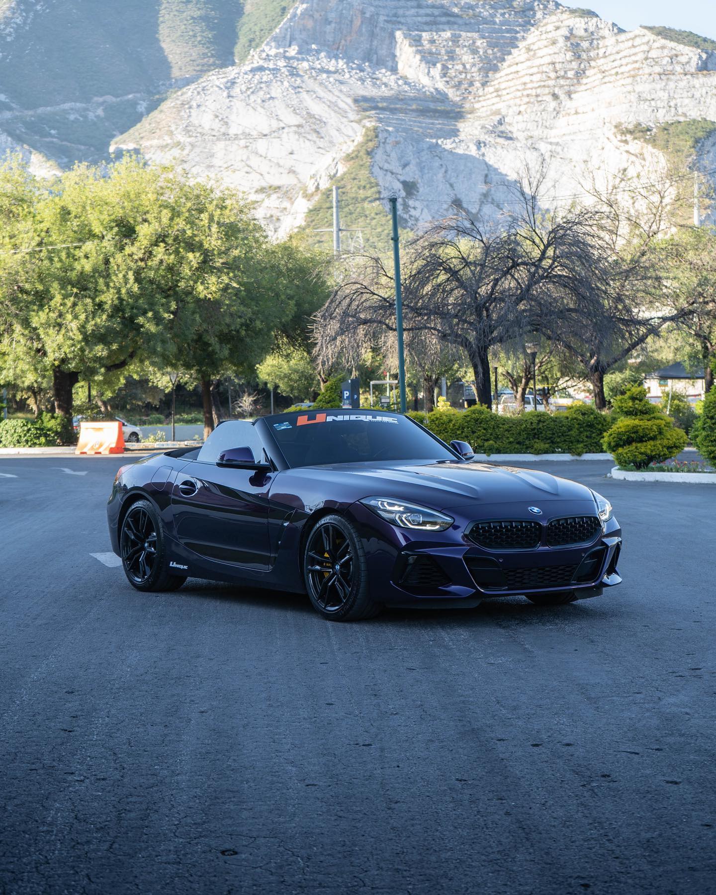 UniqueExotic - BMW Z4 wrap Midnight Purple 😈 by....