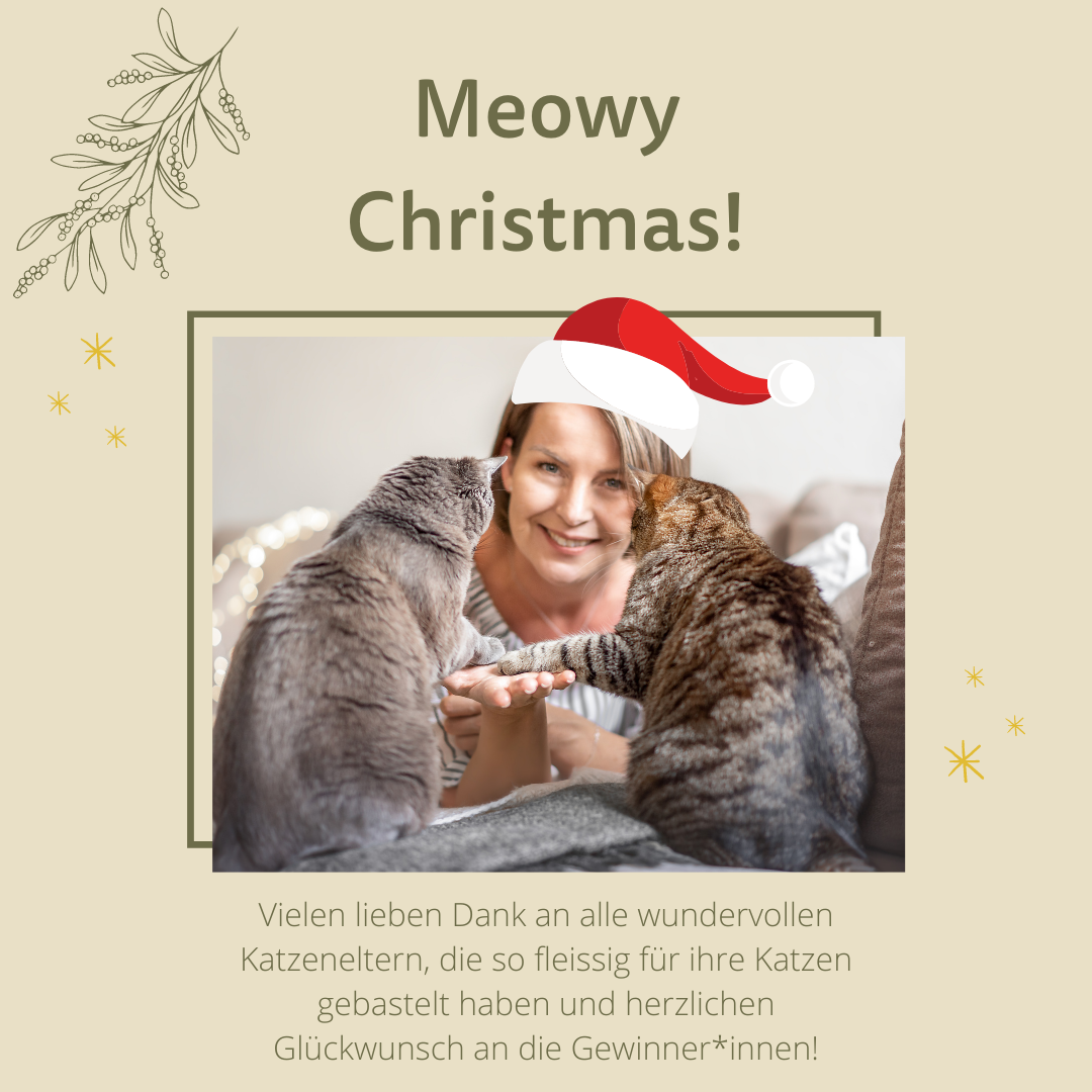 Katzenvertrauen By Kerstin Hofkes Beitrage Facebook