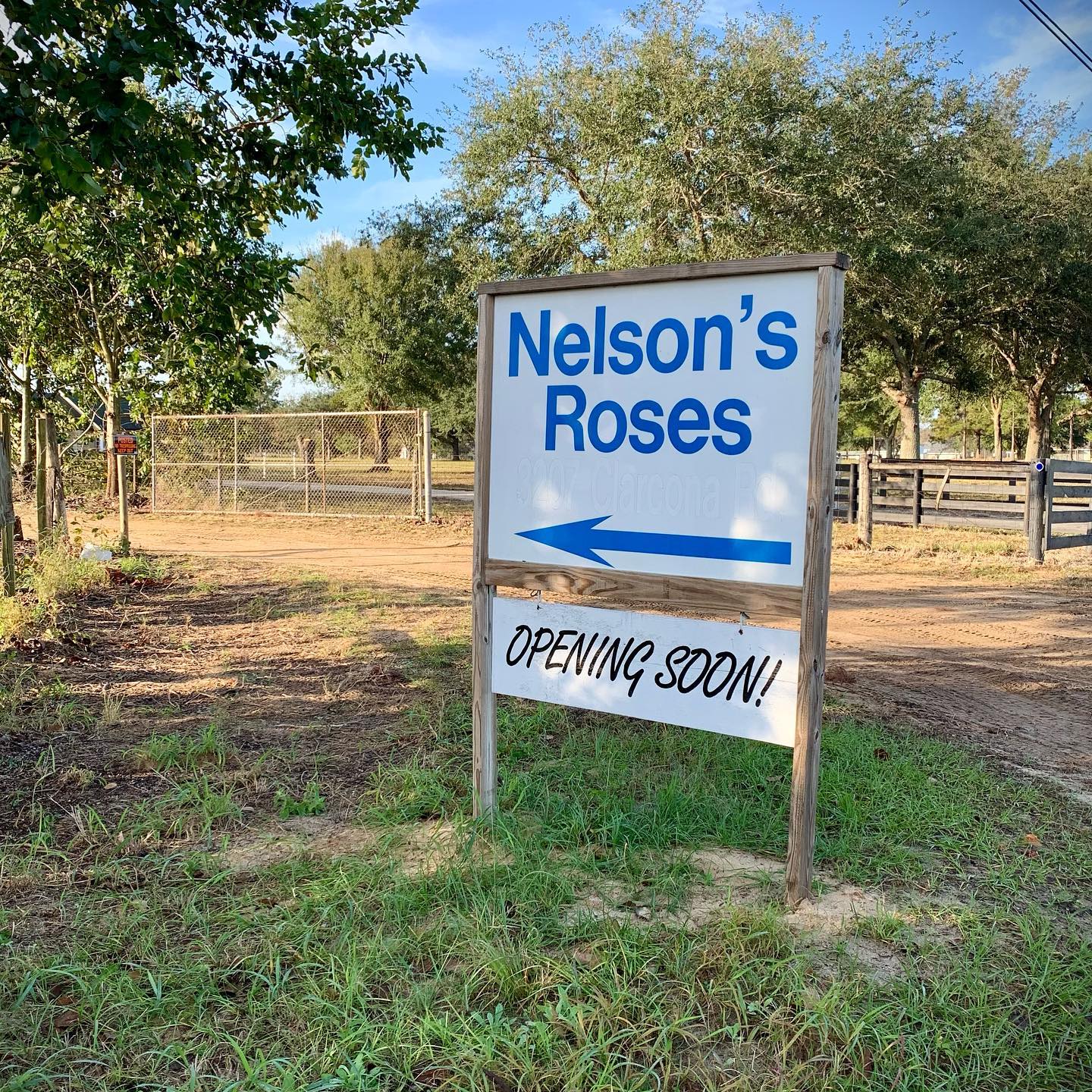 Nelson's Florida Roses added a... - Nelson's Florida Roses