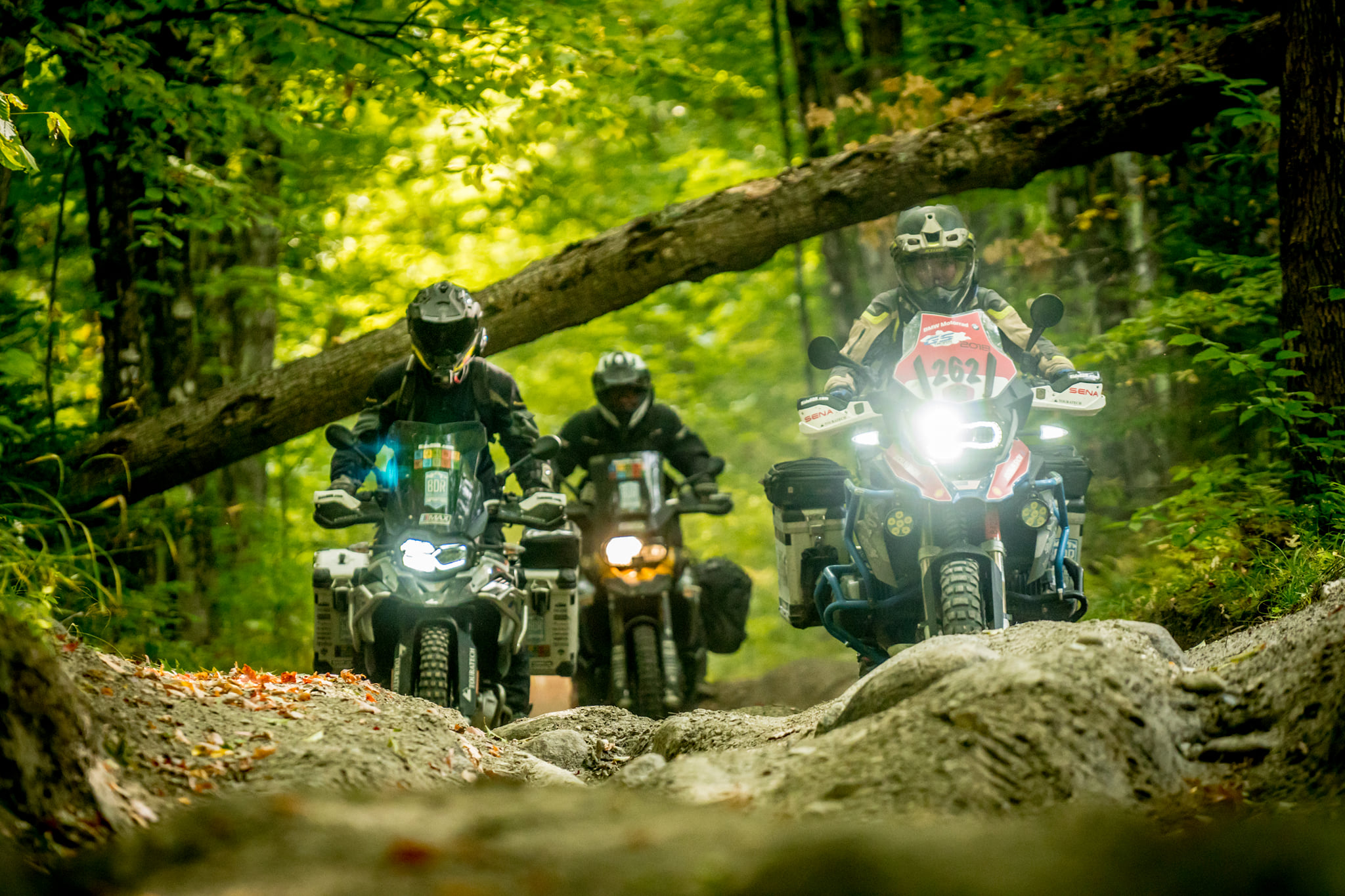 📸 TEAM PHOTO CONTEST... - Backcountry Discovery Routes | Facebook