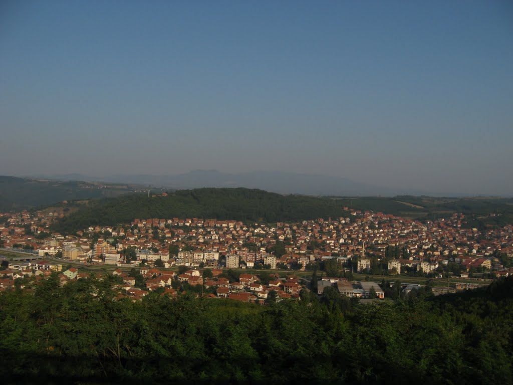 Lebane U Srcu