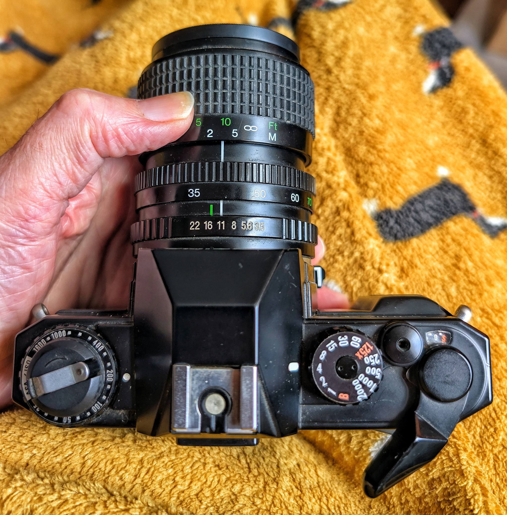 Restored Cosina CT9 reflex camera test shots