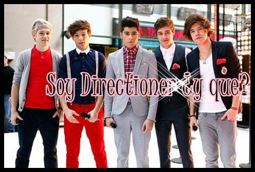 Soy Directioner ¿y que?