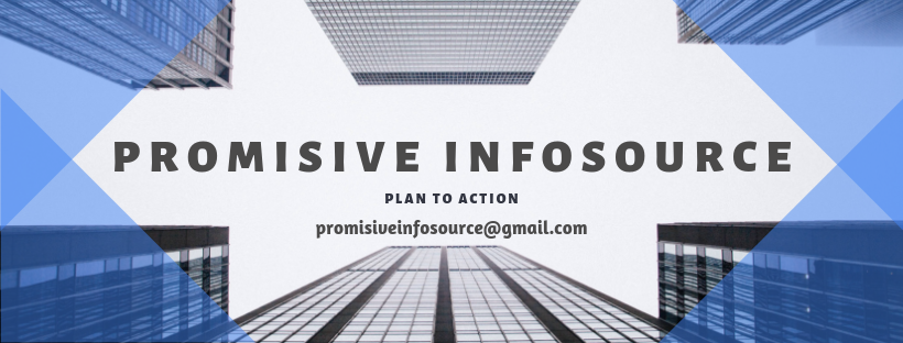 Promisive Infosource | Pune