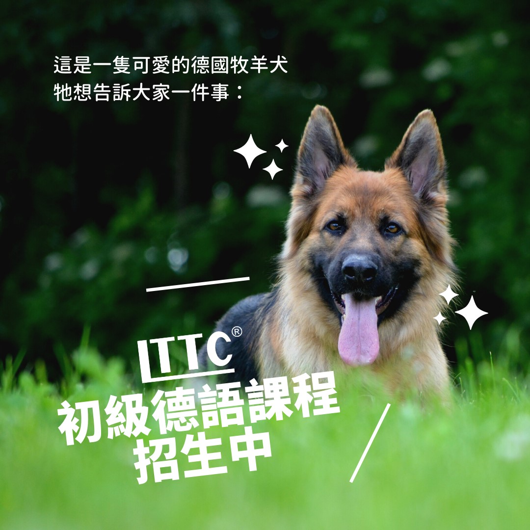我在 LTTC 學外語 - 🇩🇪 【LTTC 週六初級德語班】招生中 覺得德國文化和德語好像很嚴肅、不好親近嗎？...