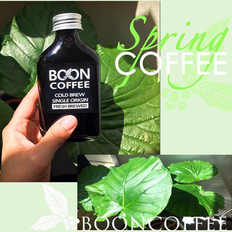 검색창에 ‘분커피’ 내 온도에 맞게, 내 농도에 맞게... - B O O N C O F F E E | Facebook