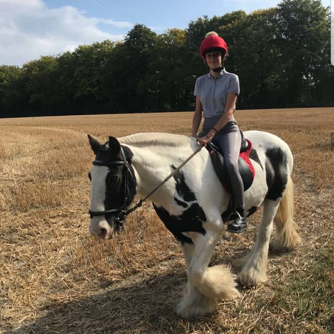 Boxley Riding School | Maidstone