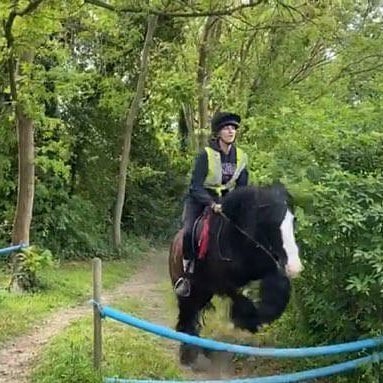 Boxley Riding School | Maidstone