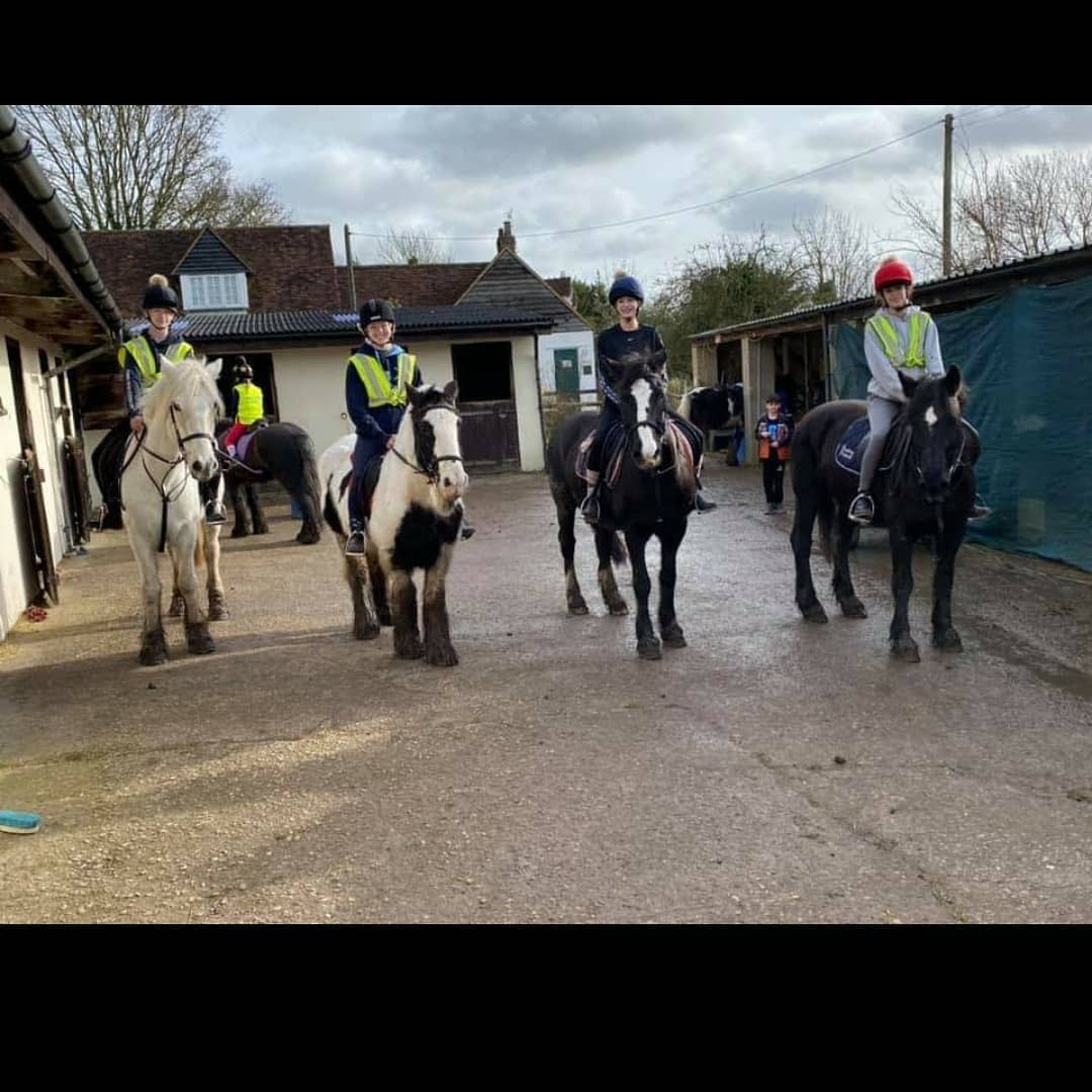 Boxley Riding School added a new photo. - Boxley Riding School