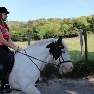 Boxley Riding School added a new photo. - Boxley Riding School