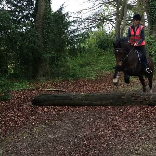 Boxley Riding School | Maidstone