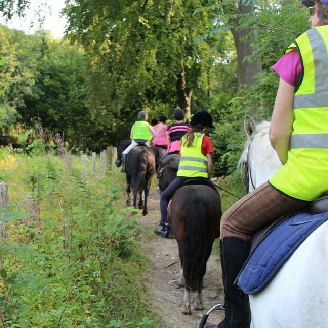 Boxley Riding School | Maidstone