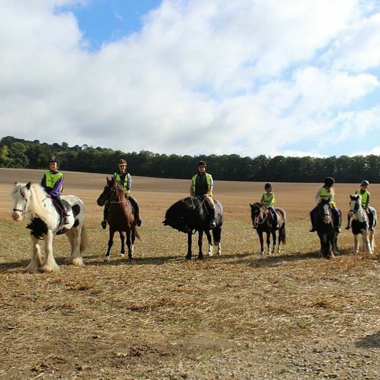 Boxley Riding School added a new photo. - Boxley Riding School