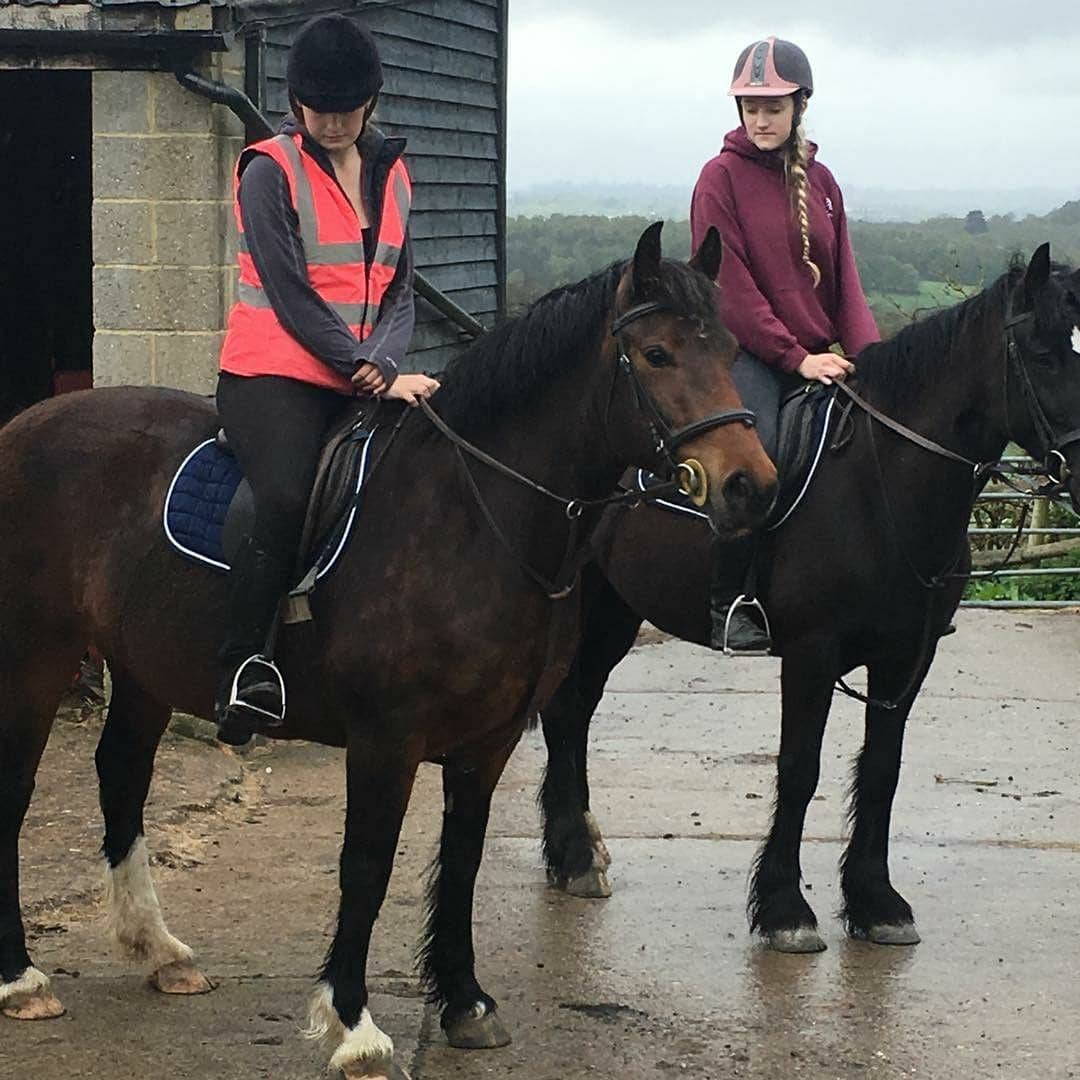 Boxley Riding School | Maidstone