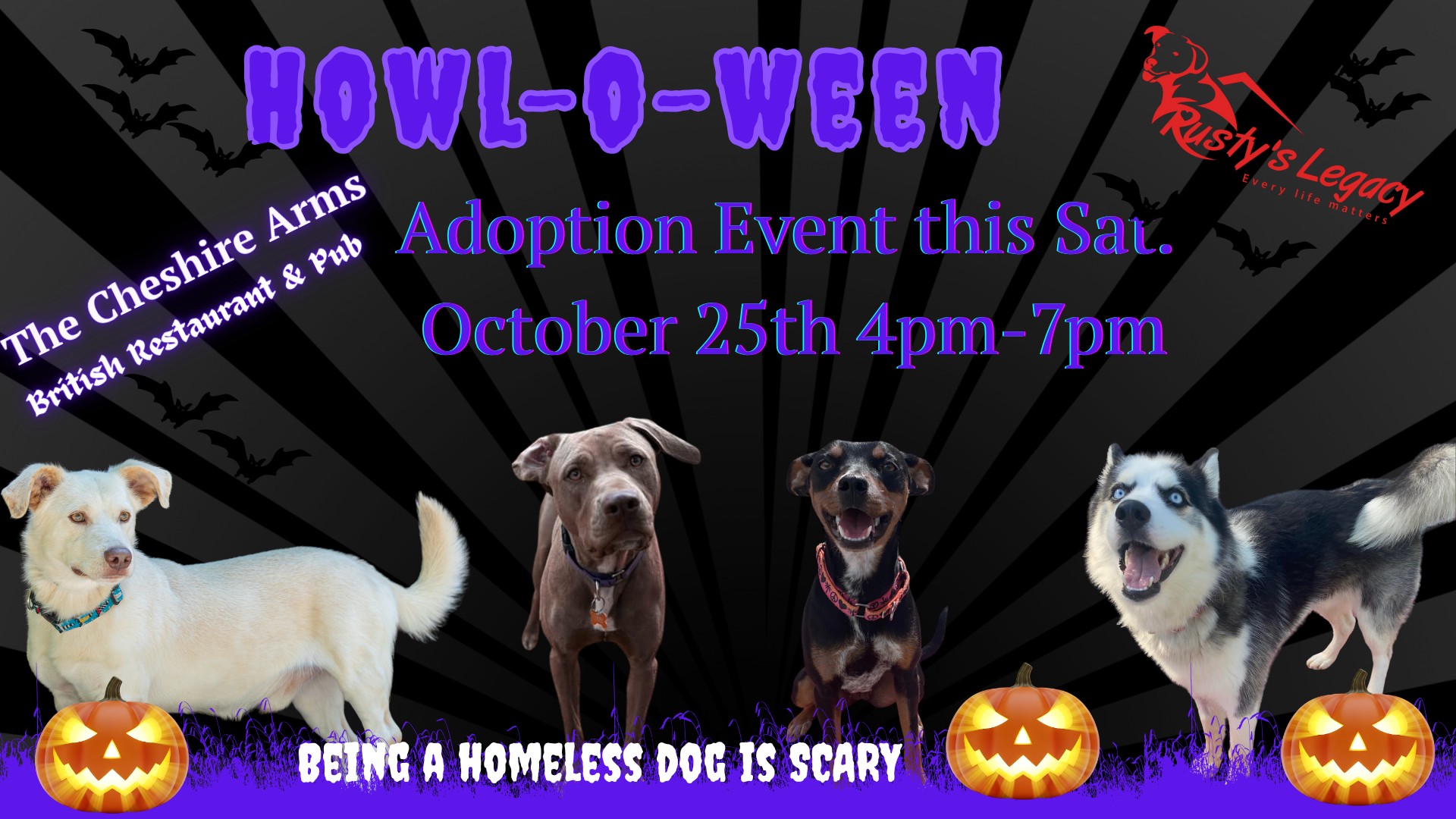 Howl-O-Ween Adoption Event- Because being a Homeless Dog is Scary