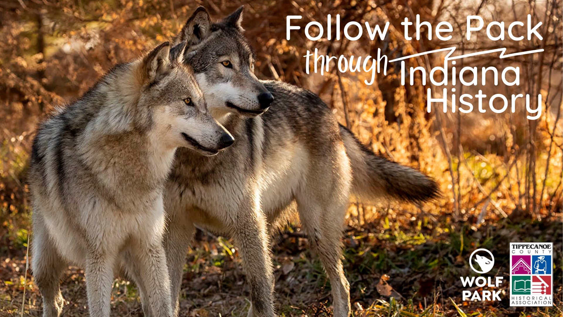 Follow the Pack Through Indiana History