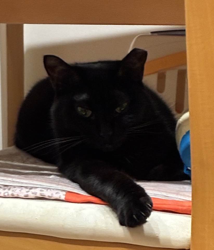 アイラブくろねこ | Facebook