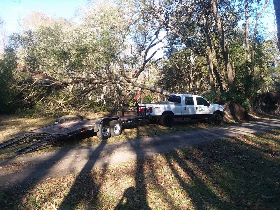 BT Tree Service LLC