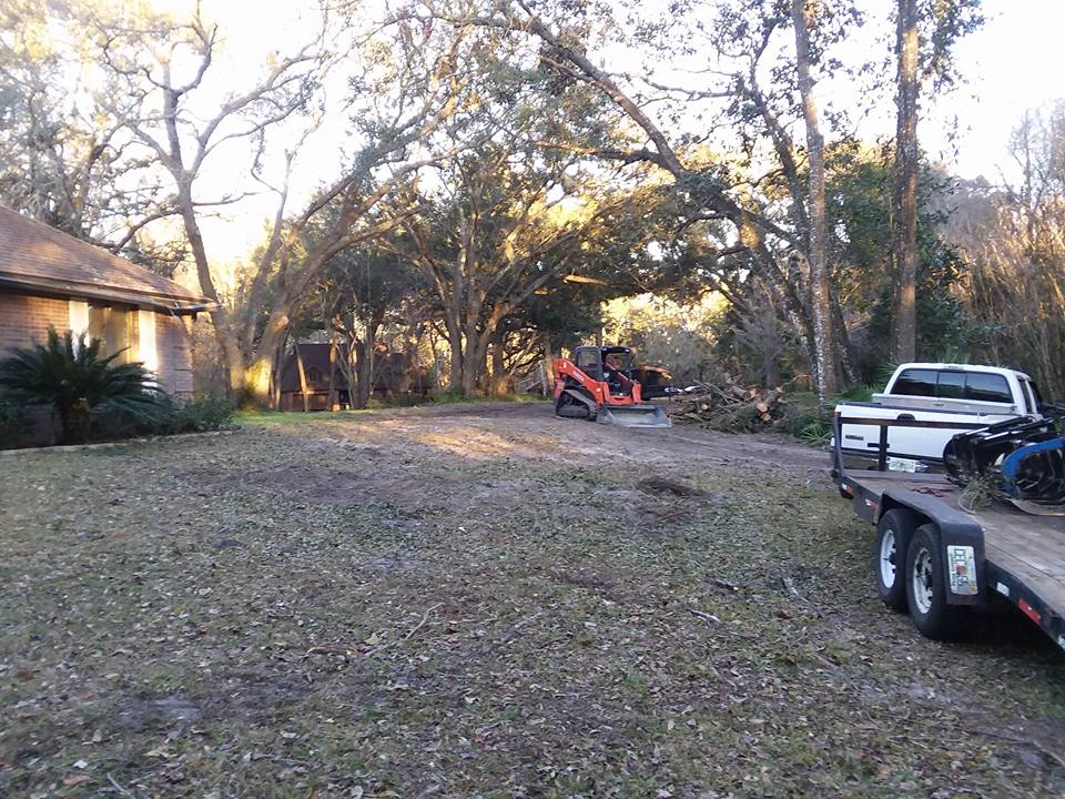 BT Tree Service LLC