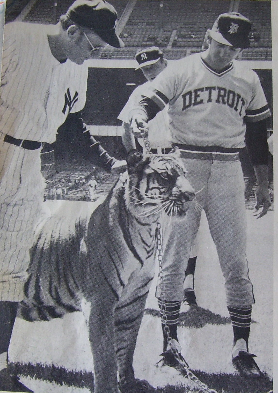 A Tiger visits Yankee Stadium in... - Detroittigersmemories | Facebook