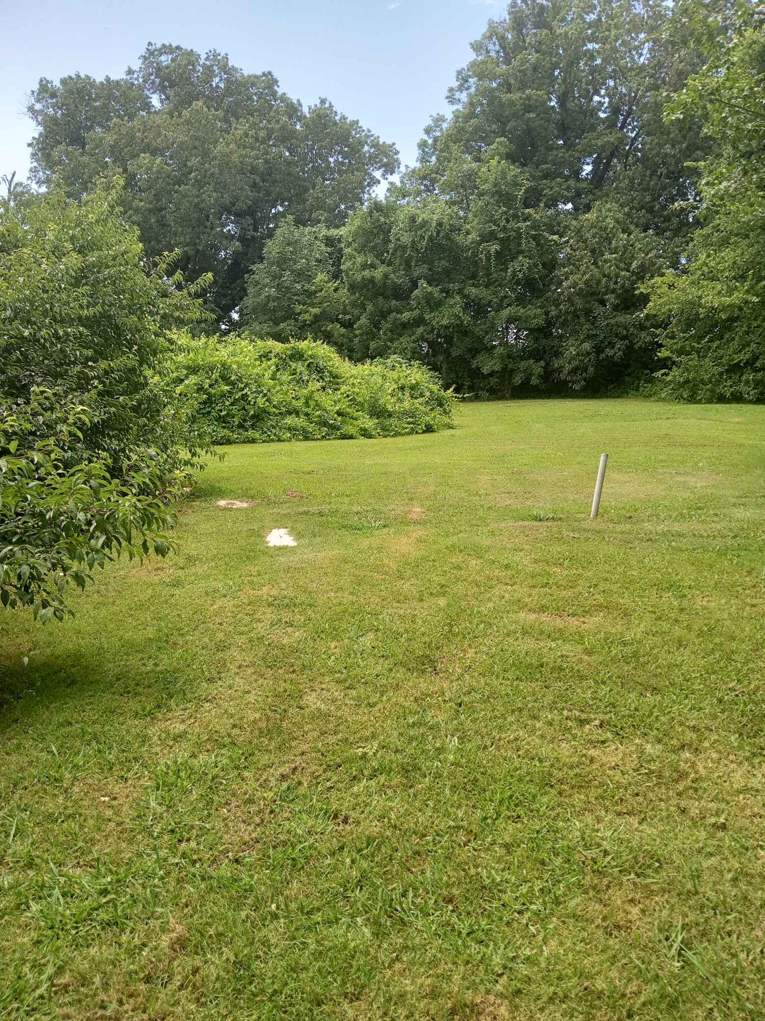 3 Beds 2 Baths House Property For Sale Marmaduke, Arkansas