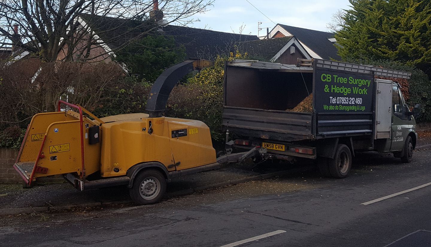 CB Tree Surgery & Hedge Work