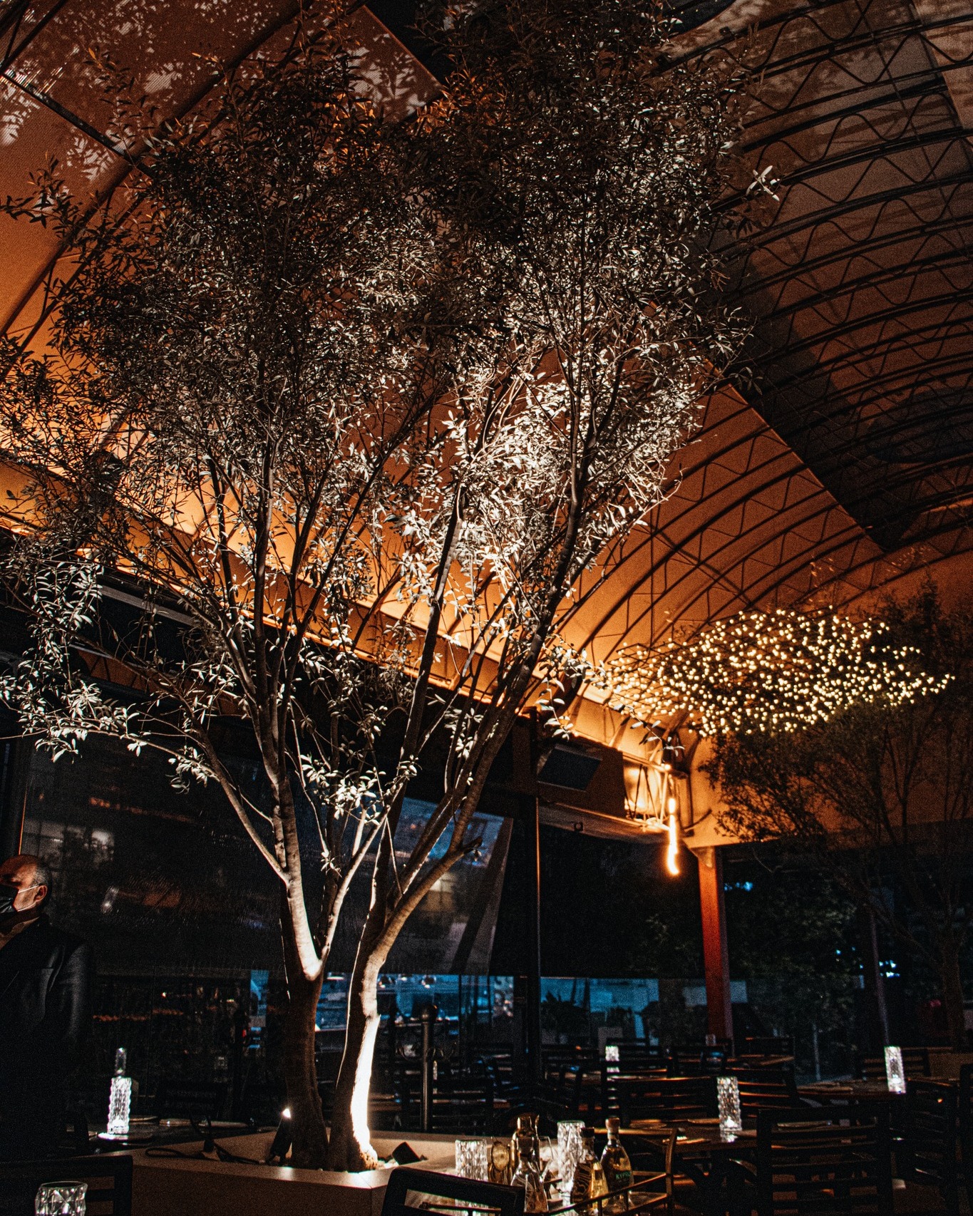 L'oie Foodie Rooftop | Mexico City