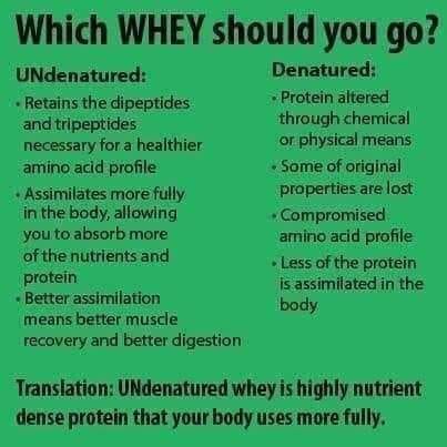 undenatured whey protein glutathione vs denatured whey benefits ghk cu nasal spray Anti Wrinkle Strength:20mg