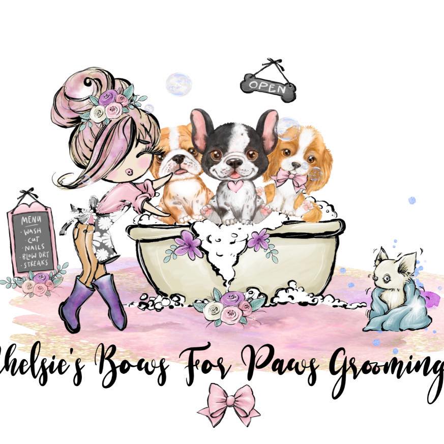 Miss bugs 🥰 | Chelsie’s Bows For Paws Dog Grooming