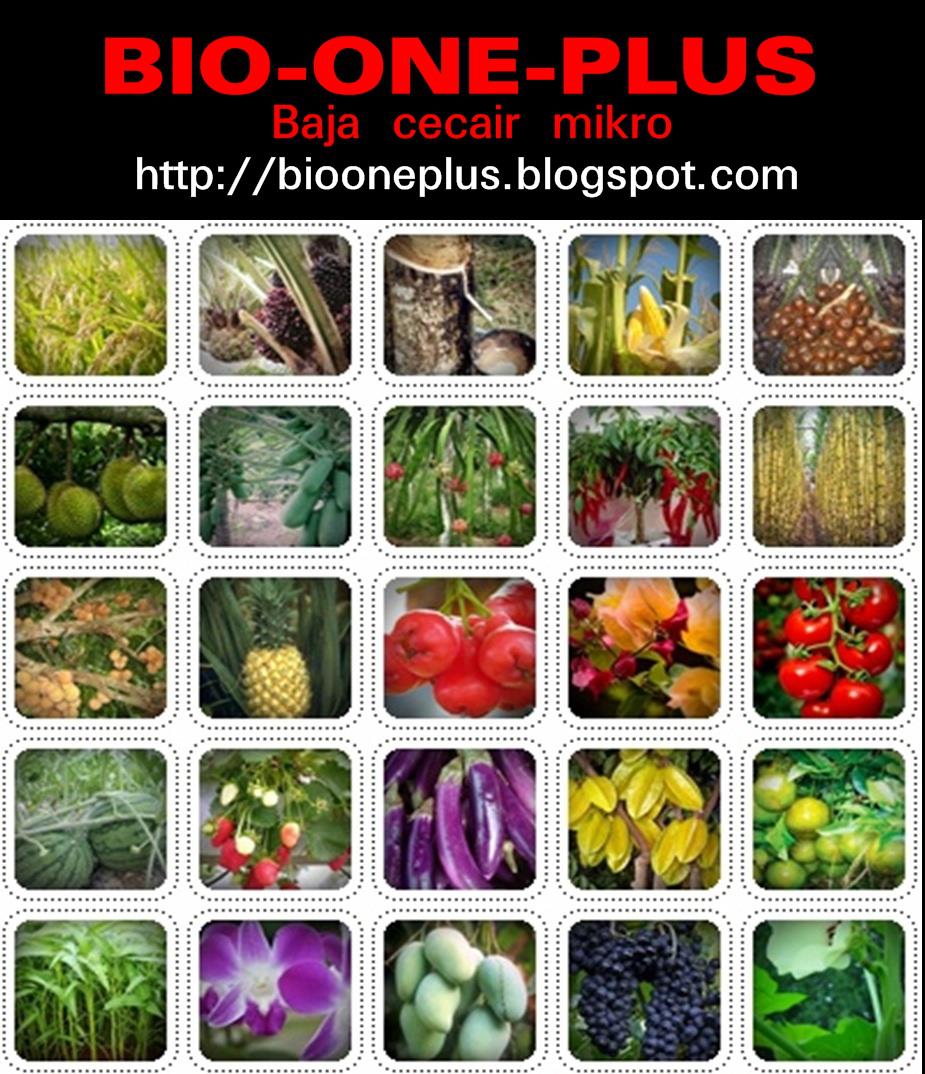 Bio-One-Plus