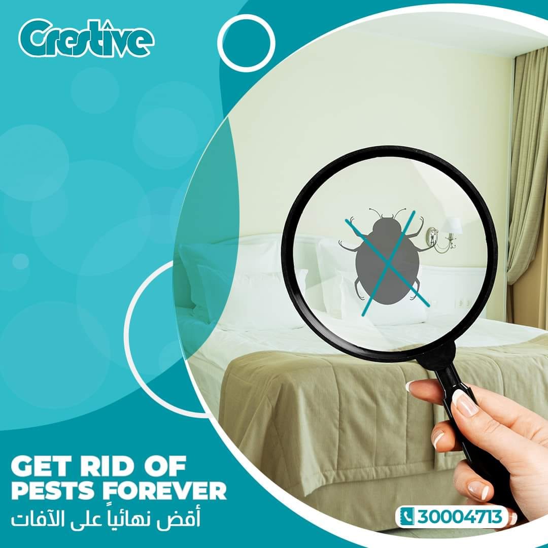 سئمت من كل الطرق التقليدية... - Crestive Pest Control Service