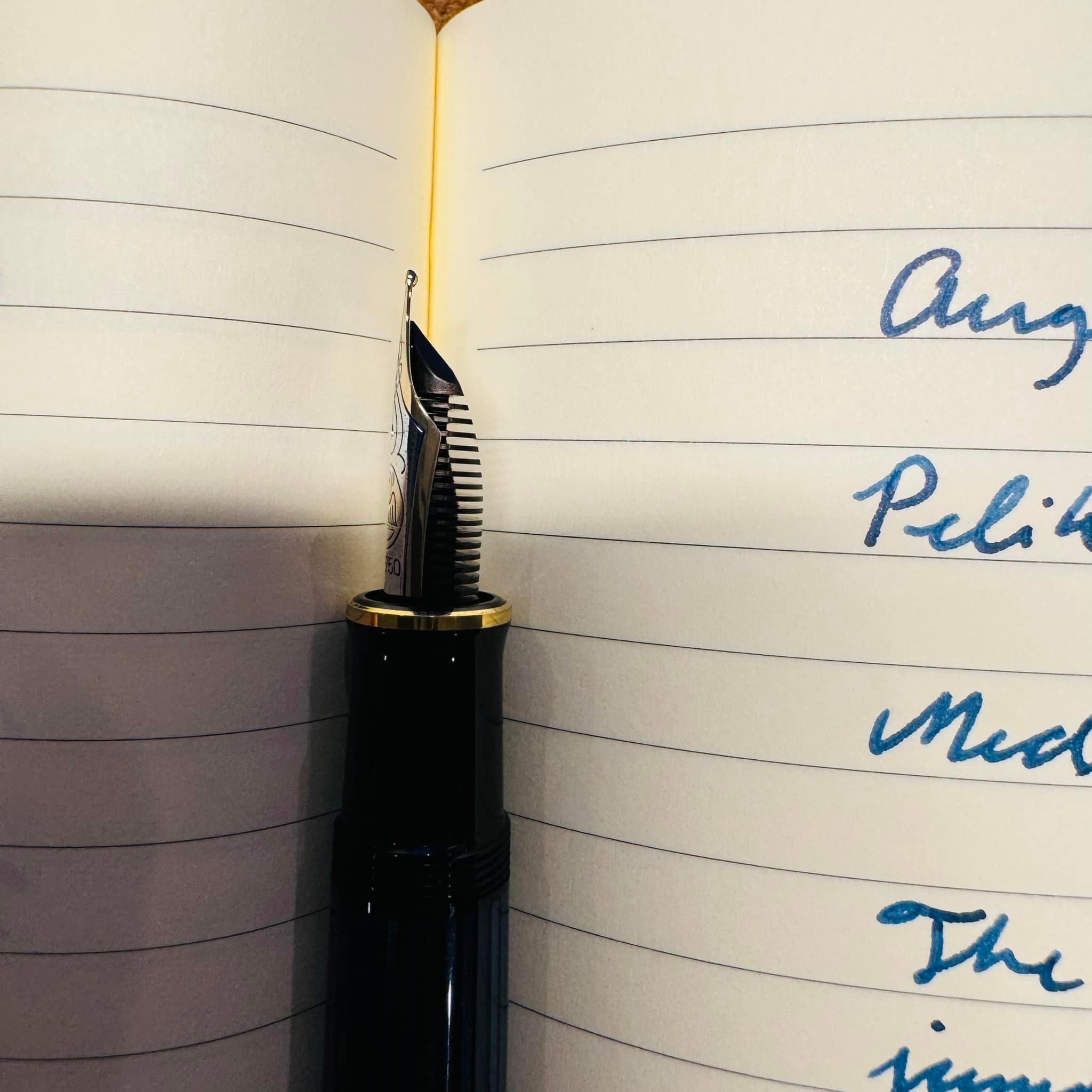 Pelikan Limited Edition M800 