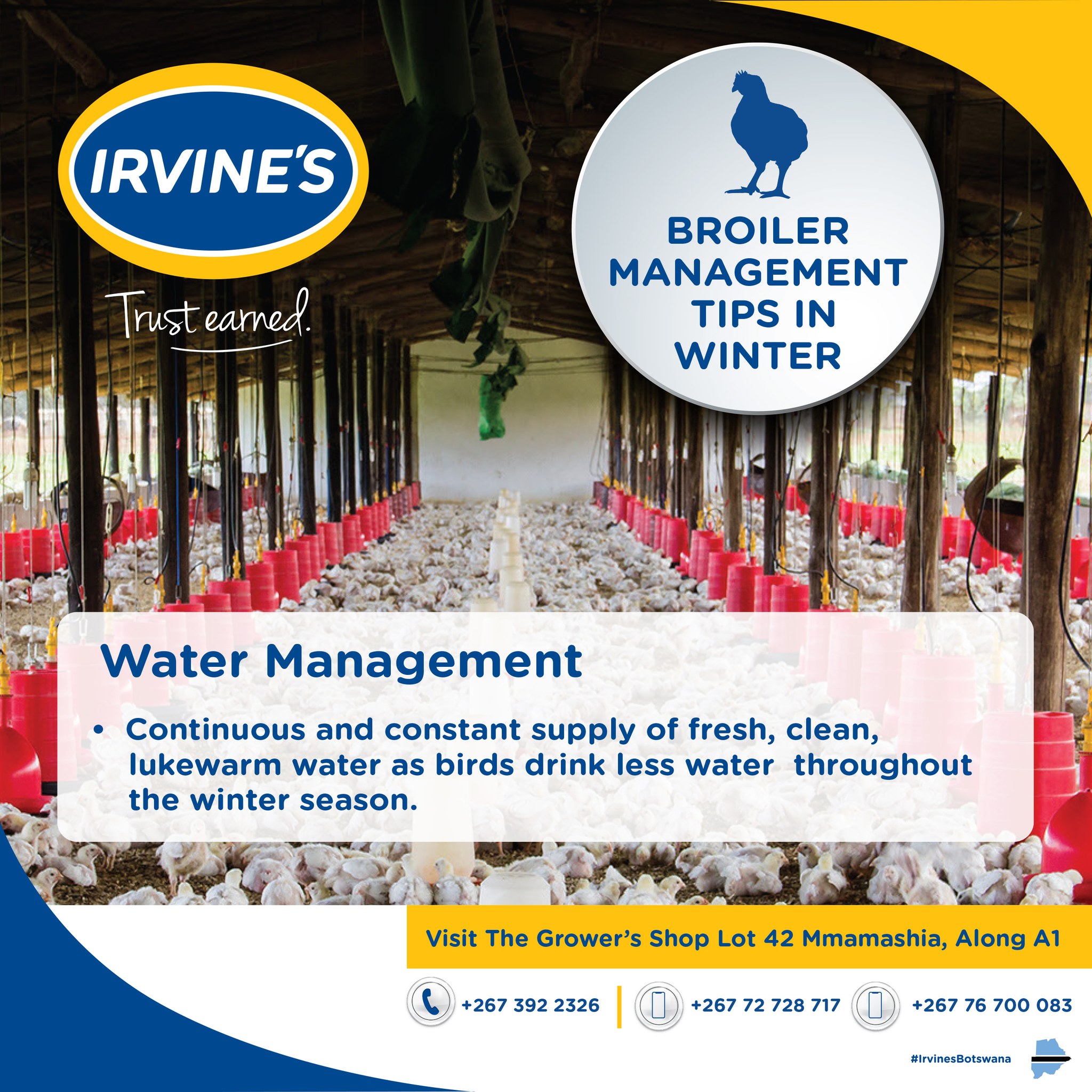 irvine-s-botswana-home