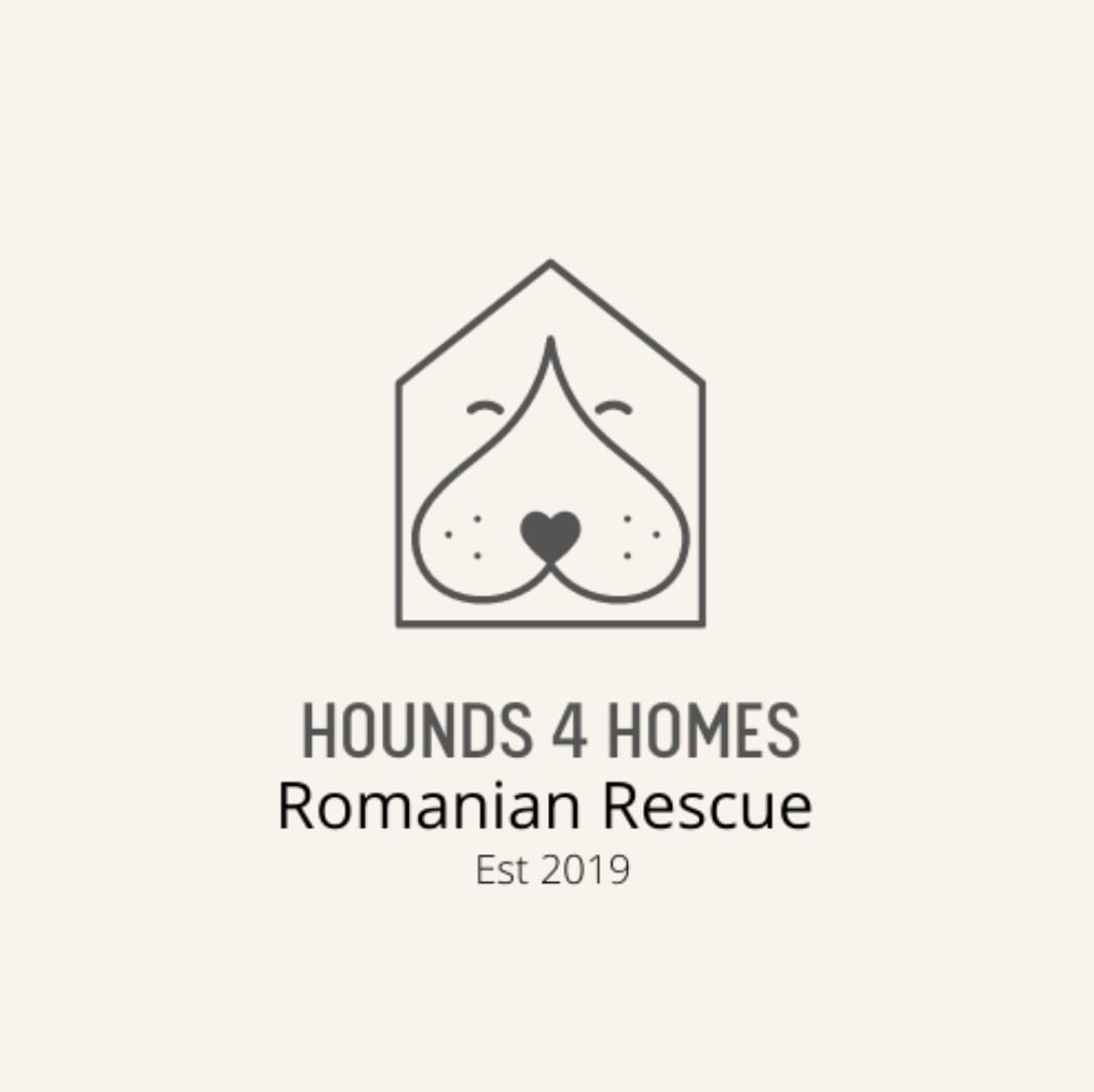 Friends of Rescue -... - Friends of Rescue - Thailand