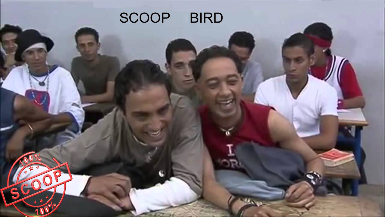 Bird Sccoop