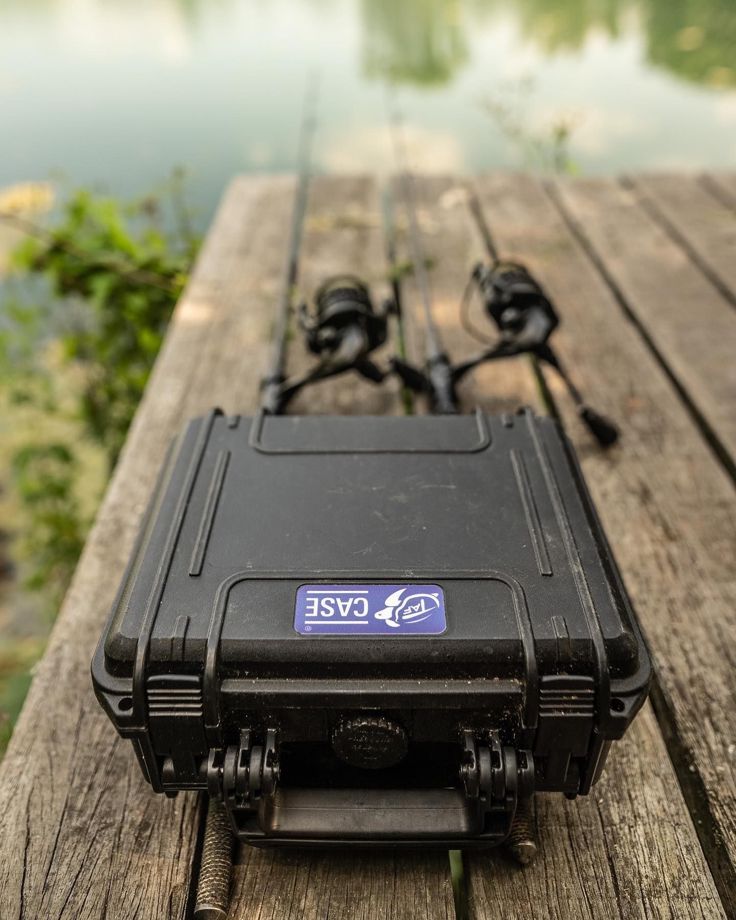 TAF CASE
