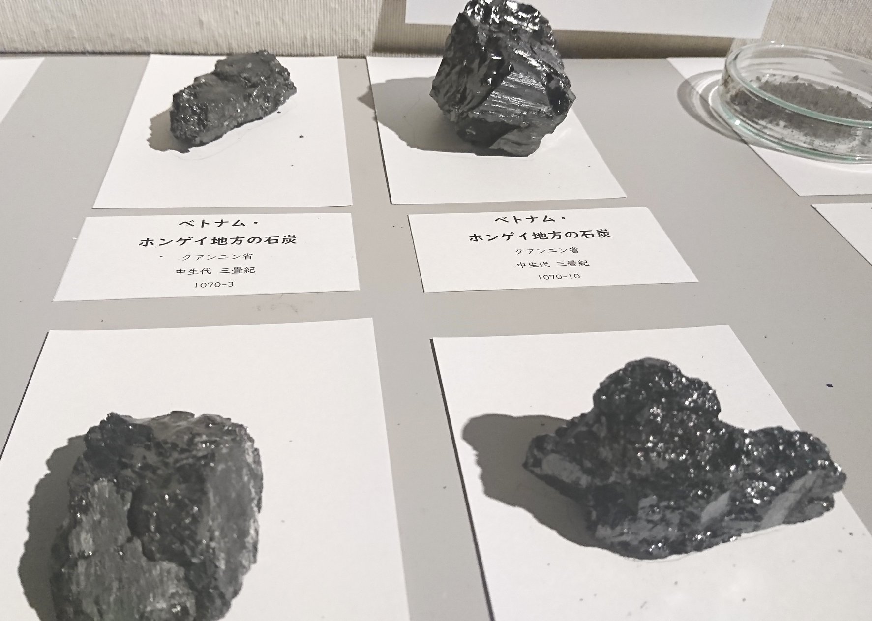 大牟田市石炭産業科学館 - 現在石炭館は臨時休館中ですが、春の収蔵品 