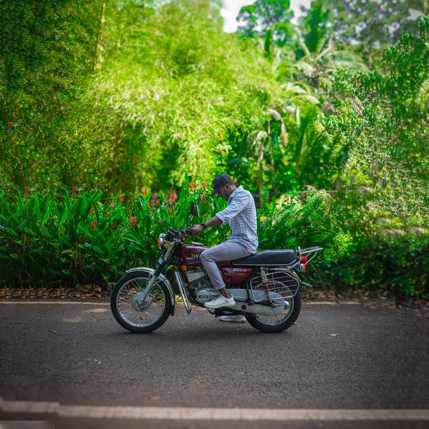 AniSh RaJu