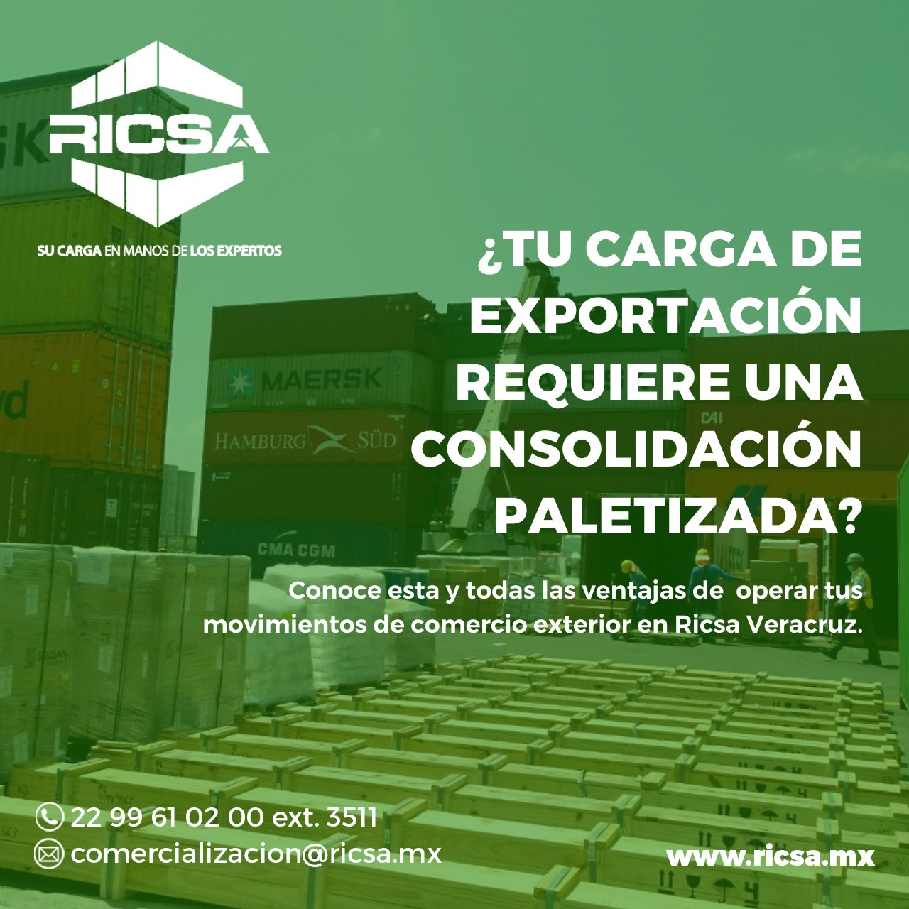 Ricsa - En RICSA contamos con un servicio especializado y...