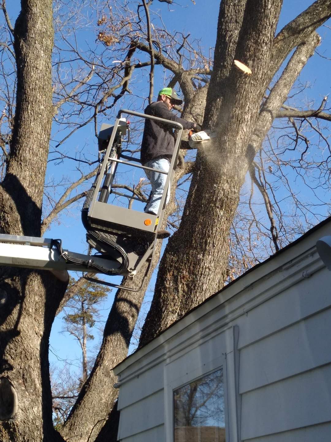 ASAP Tree Experts - Home