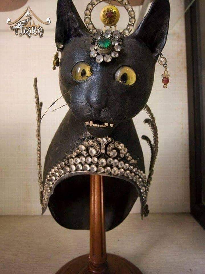 🙏TIMBA CAT EVENT THEME... - TIMBA สมาคมแมวไทยโบราณนานาชาติ
