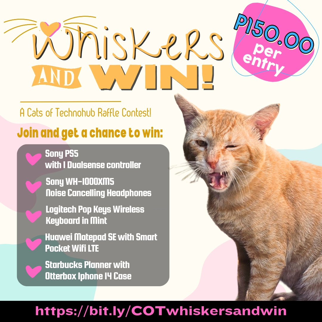 ️RAFFLE PA MORE! ️ 🩷 We are ending... - Cats of Technohub