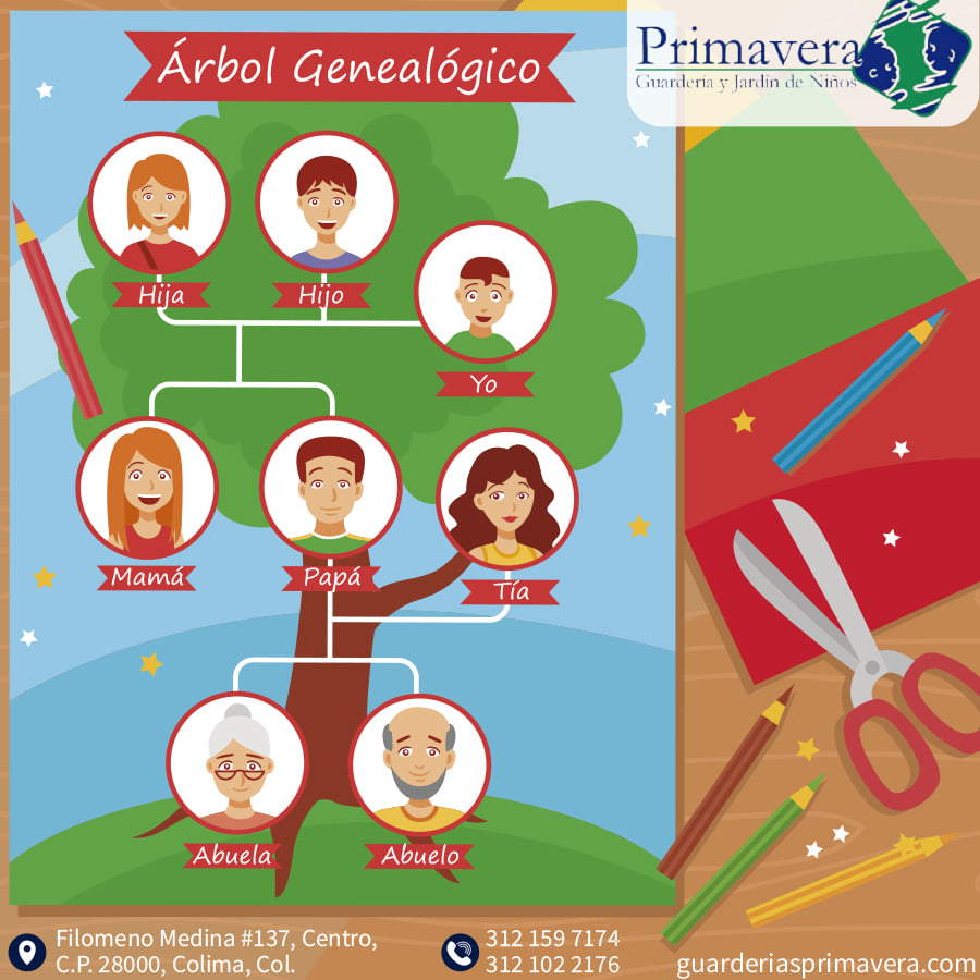 Árbol genealógico infantil con fotos familiares