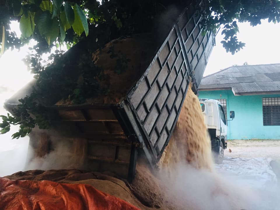 Cendawan Com Stock Habuk Kayu Getah Turun Lagi Pening Facebook